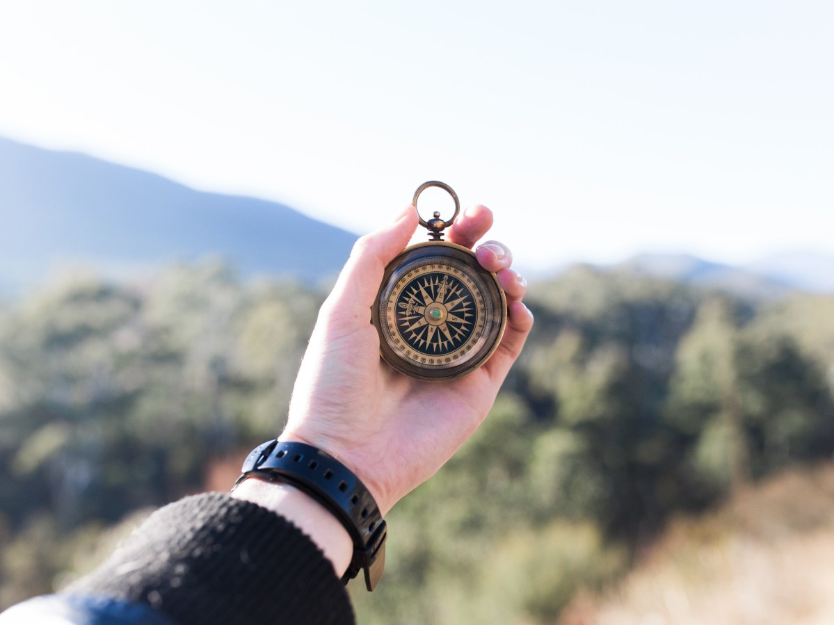 Photo by Heidi Fin on Unsplash