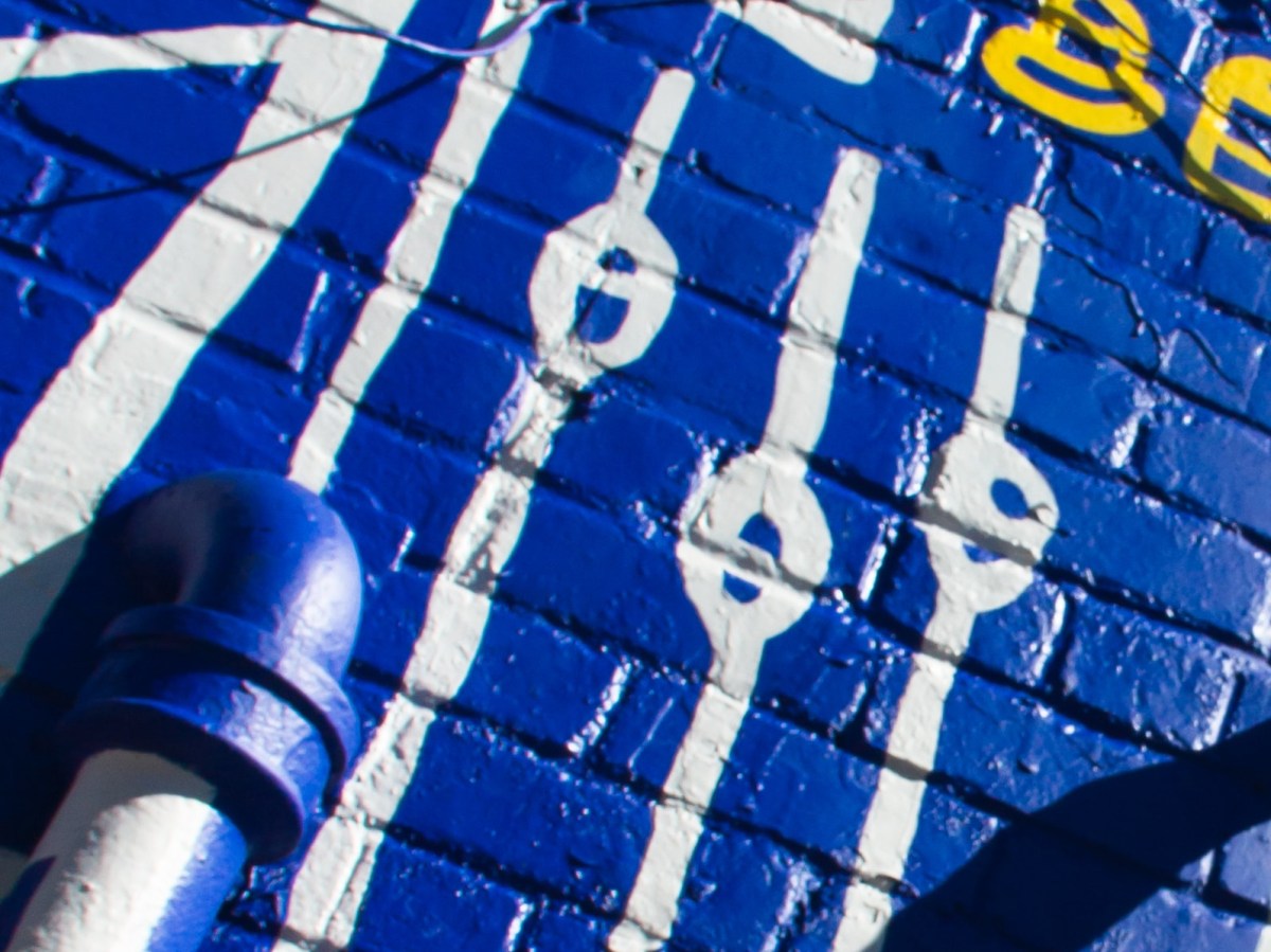 Photo by Annabel Sumardi on Unsplash